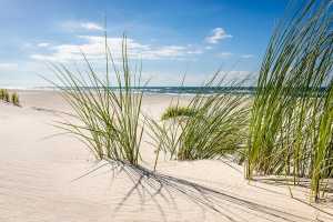 einsamer-strand einsamer-strand